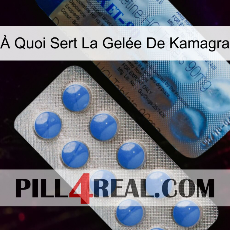 À Quoi Sert La Gelée De Kamagra 40